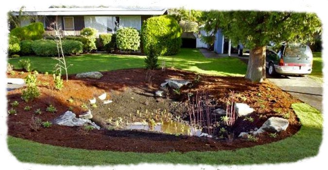 Rain Gardens 101