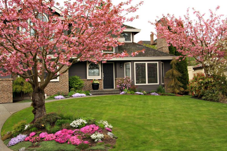 Benefits to Growing Trees in Your South Carolina Custom Homes Yard