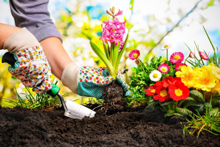 How To Have the Best Garden Year Round in Johns Creek New Homes