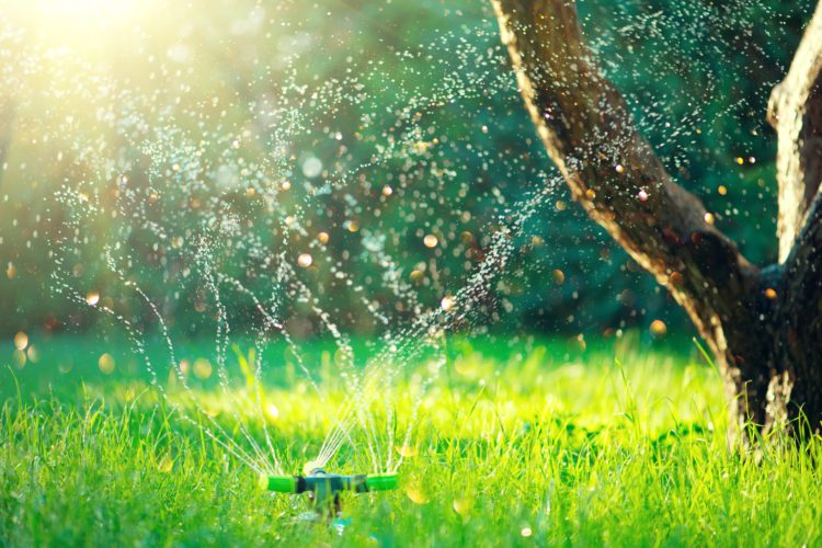 Keep Your Sandy Springs Home Lawn Lush With These Top Sprinklers